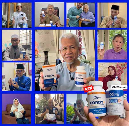 gambar-pengguna-cordy+